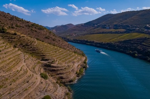 Cruzeiro no Douro rumo à Régua - Bilhete Criança 4-12 anos