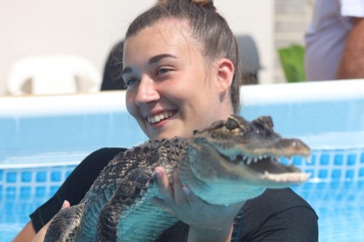 Swimming with Crocs Experience with Lunch