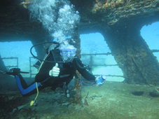 Immersione nel mare della Calabria