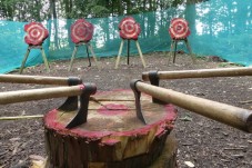 Axe Throwing Experience