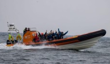 Guided Seal Safari by Boat