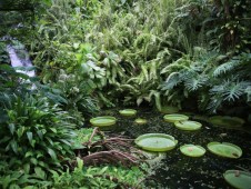 Eden Project- Cornwall