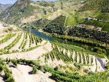 Cruzeiro no Douro rumo à Régua - Bilhete Criança 4-12 anos