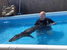 Swimming with Crocs Experience with Lunch