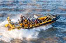 Thames Barrier Rib Powerboat Experience