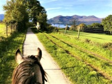 Horse Riding Tour in Killarney National Park
